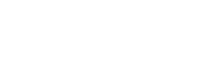 Wilde Nächte